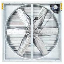 ����ؓ���L�C