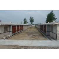 ؓ(f��)���L(f��ng)�C(j��)�B(y��ng)ֳ